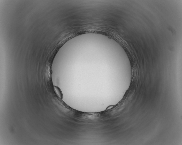 X0000115600479200911100956