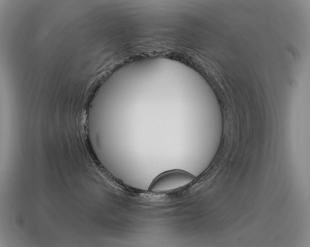 X0000115600480200911100956
