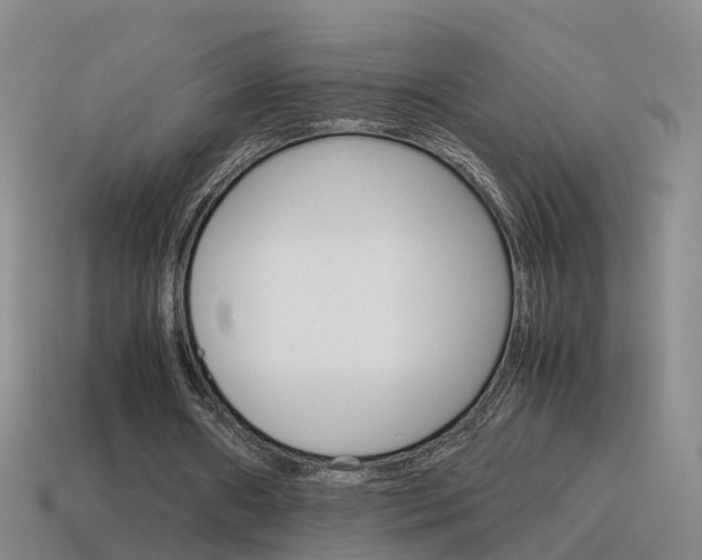 X0000115600482200911100955