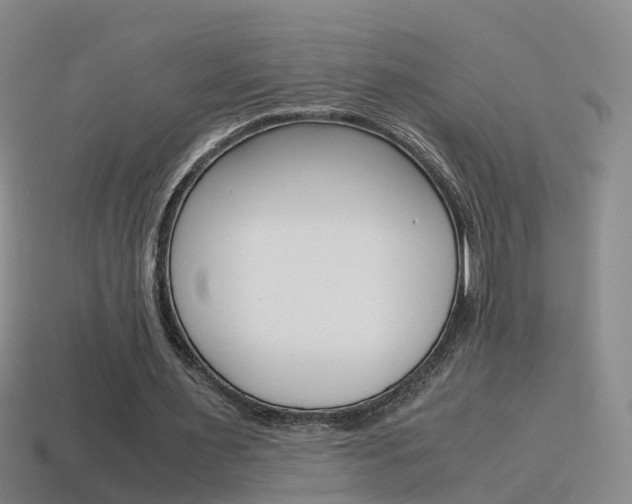 X0000115600483200911100955