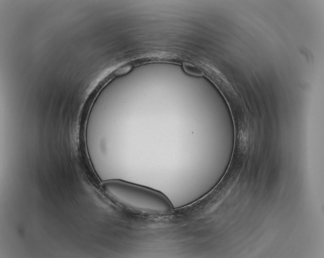 X0000115600484200911100955