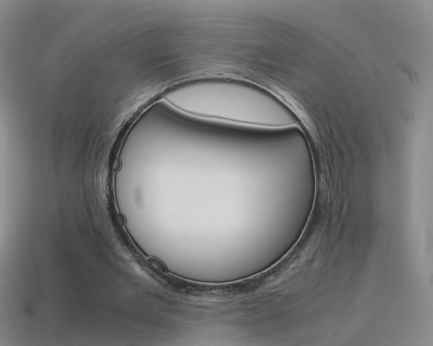 X0000115600485200911100955