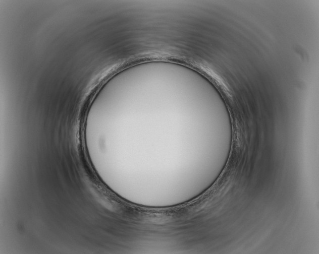 X0000115600486200911100955