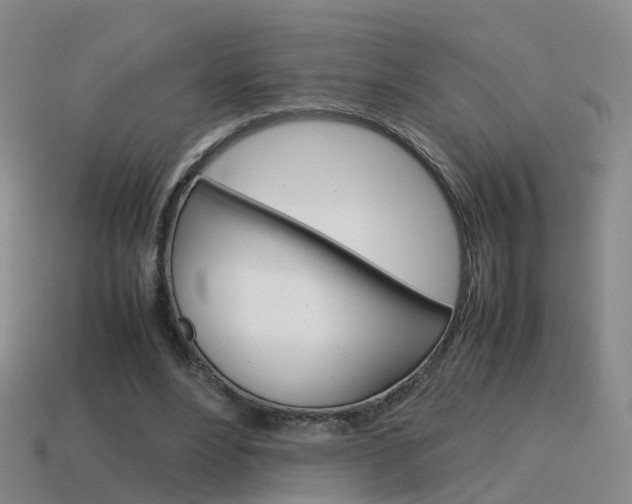 X0000115600488200911100955