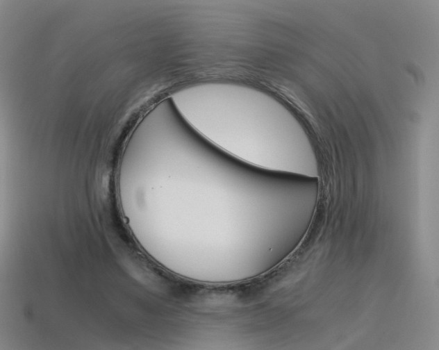 X0000115600491200911100955