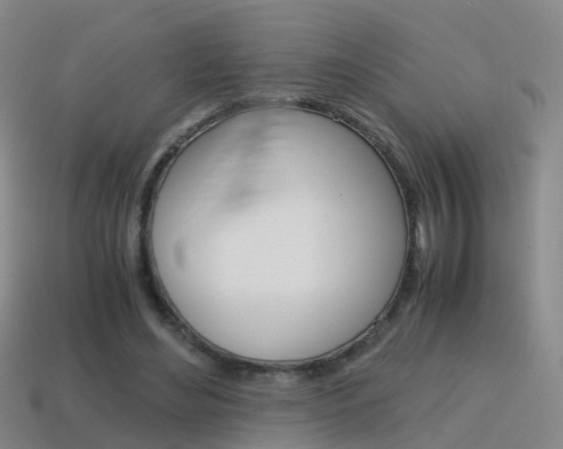 X0000115600492200911100955