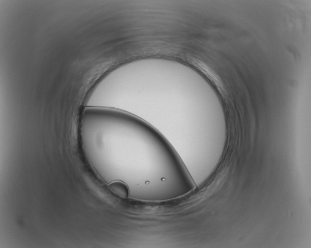 X0000115600493200911100955