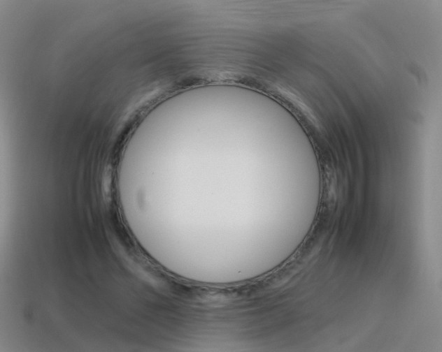 X0000115600494200911100955