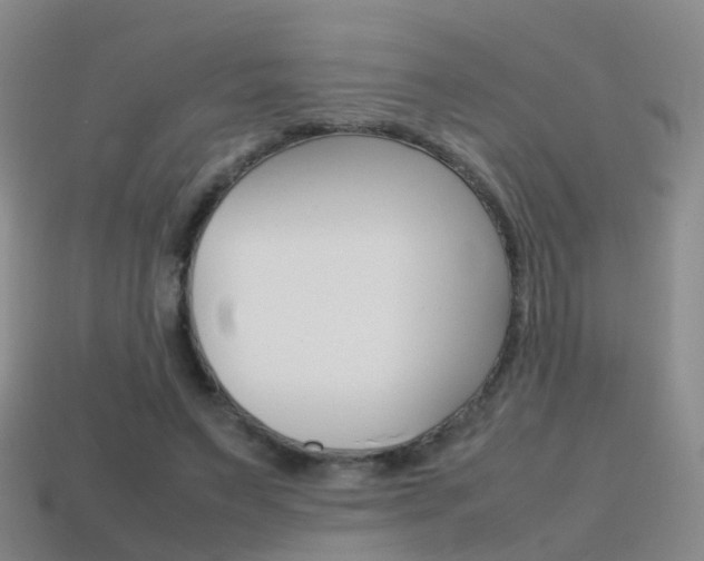 X0000115600495200911100955