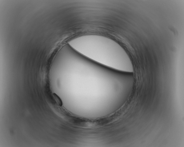 X0000115600496200911100955