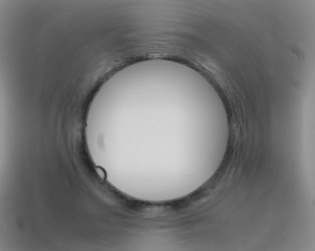 X0000115600499200911100955