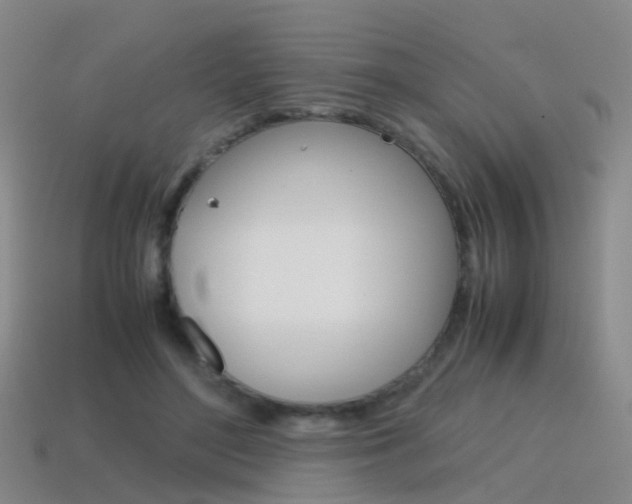 X0000115600500200911100955