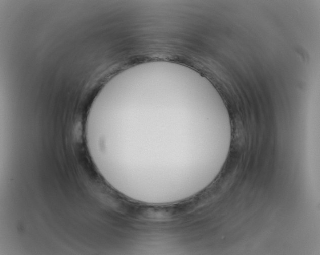 X0000115600502200911100955
