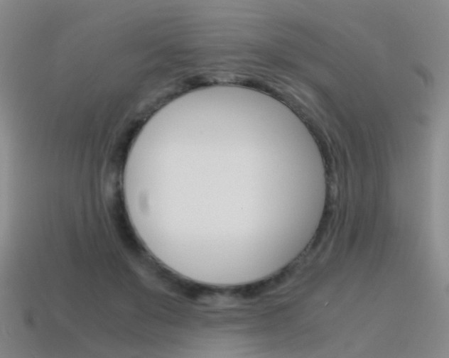 X0000115600503200911100955