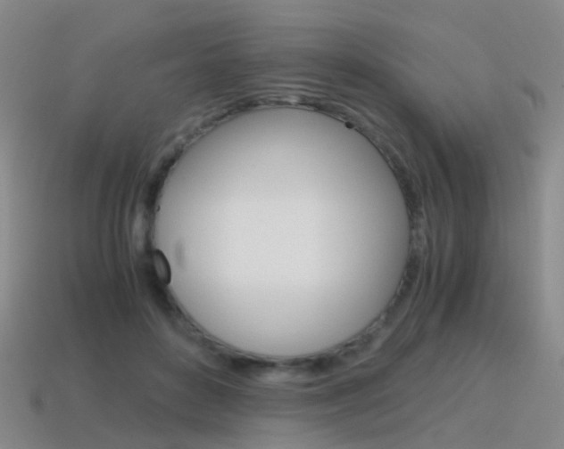 X0000115600504200911100955