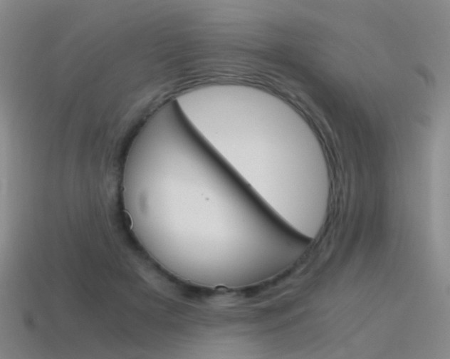 X0000115600505200911100955