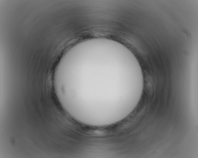 X0000115600506200911100955