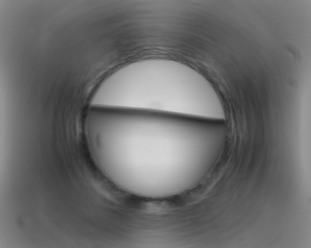X0000115600508200911100955