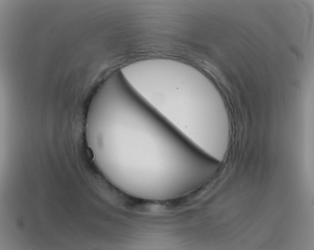 X0000115600509200911100955