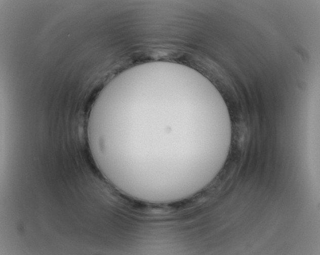 X0000115600510200911100955