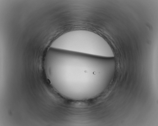 X0000115600512200911100955