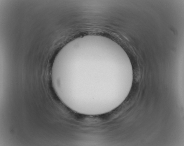 X0000115600515200911100955