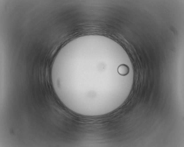 X0000115600516200911100955