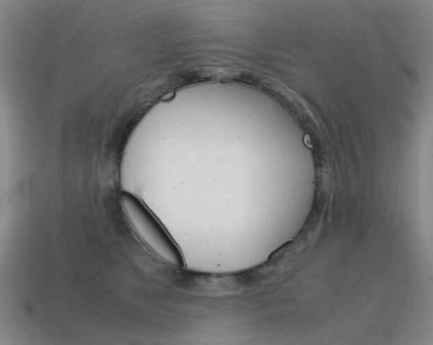 X0000115600517200911100955
