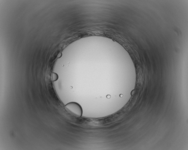 X0000115600518200911100955