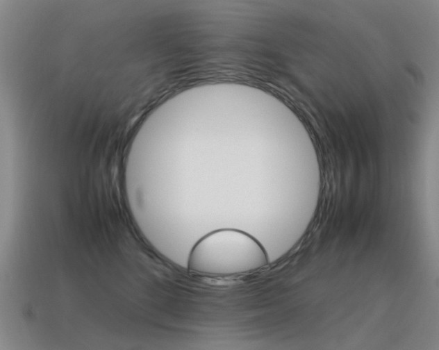X0000115600520200911100955