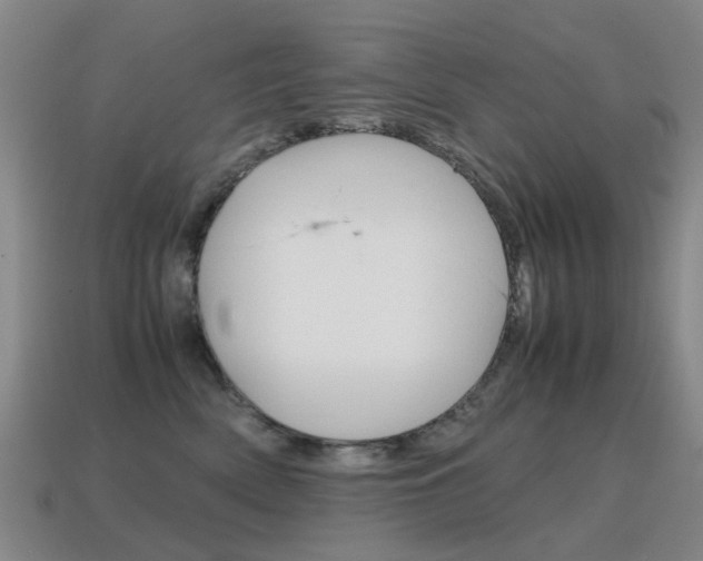 X0000115600522200911100955