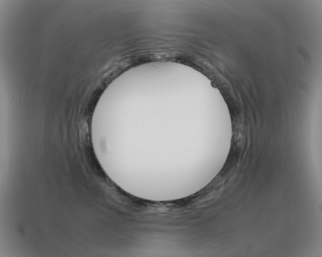X0000115600523200911100954
