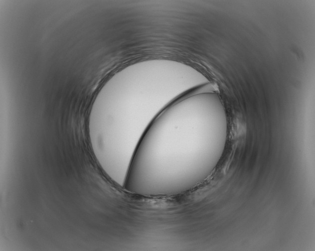 X0000115600524200911100954