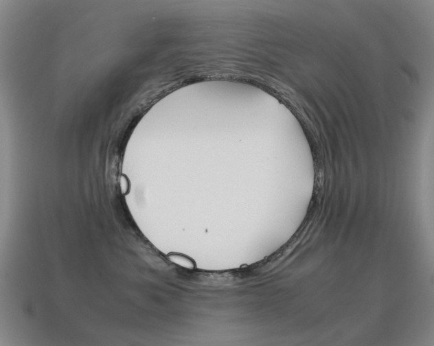 X0000115600525200911100954