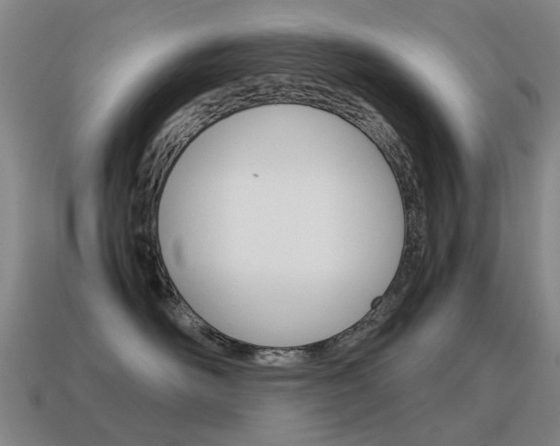 X0000115600526200911100954