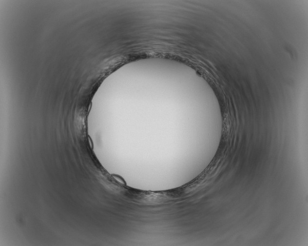 X0000115600527200911100954