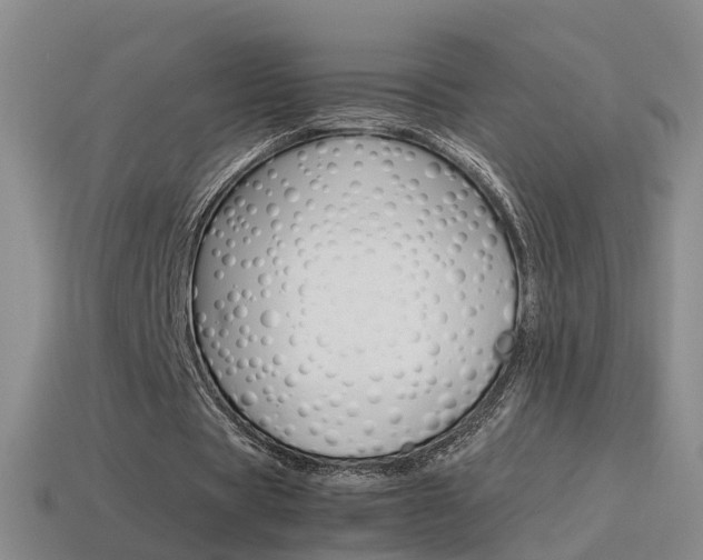X0000115600529200911100954