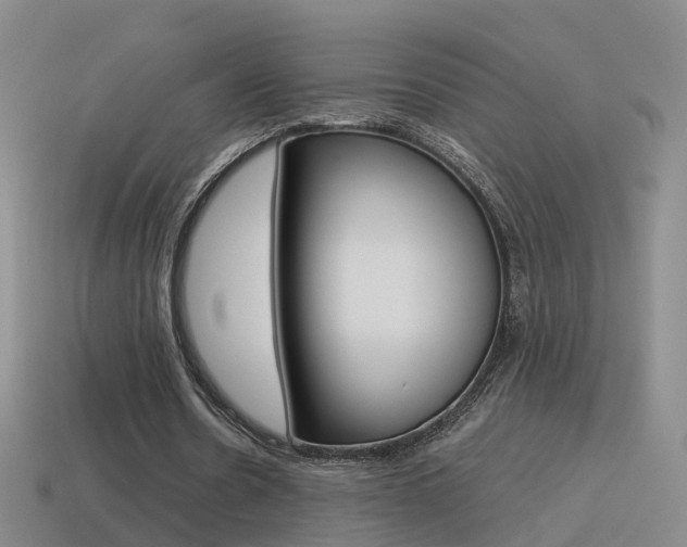 X0000115600530200911100954