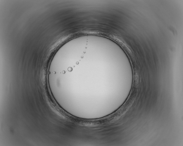 X0000115600533200911100954
