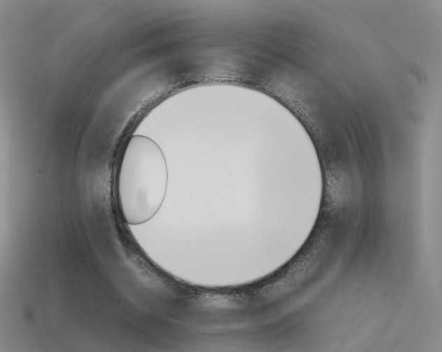 X0000115600534200911100954