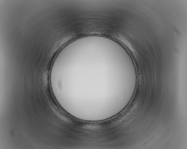 X0000115600537200911100954