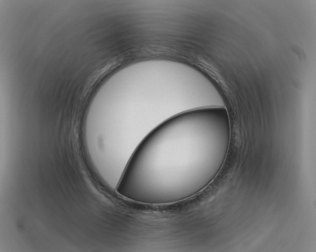 X0000115600538200911100954