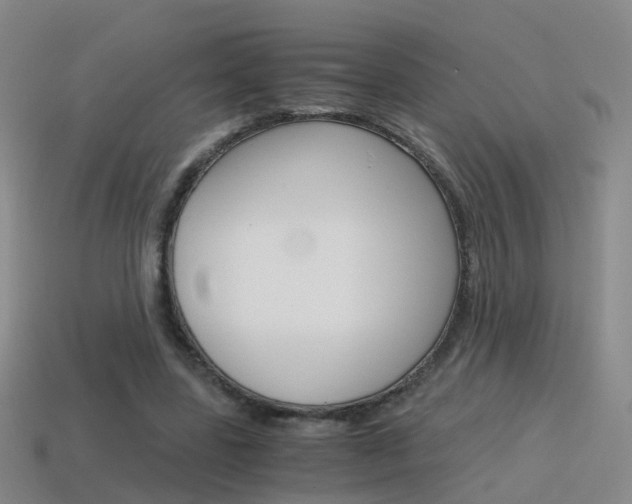 X0000115600539200911100954