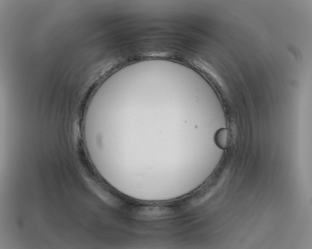 X0000115600541200911100954