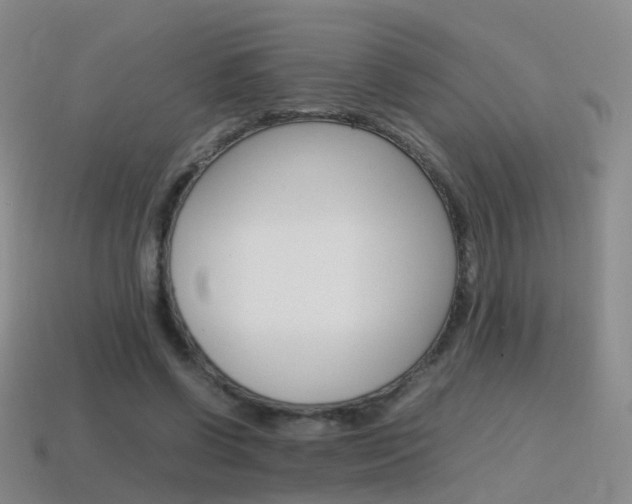 X0000115600542200911100954