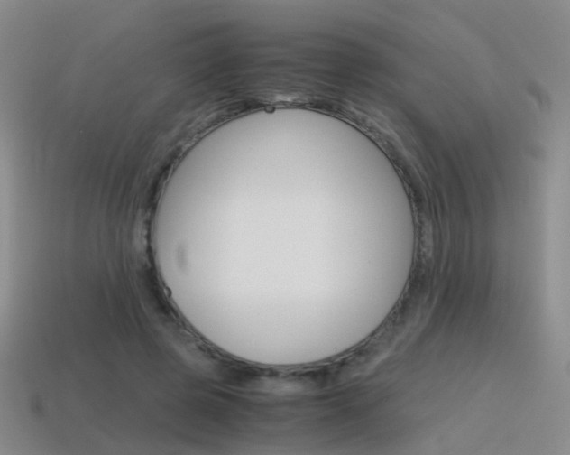 X0000115600545200911100954