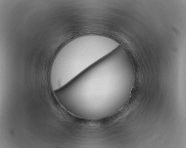 X0000115600546200911100954