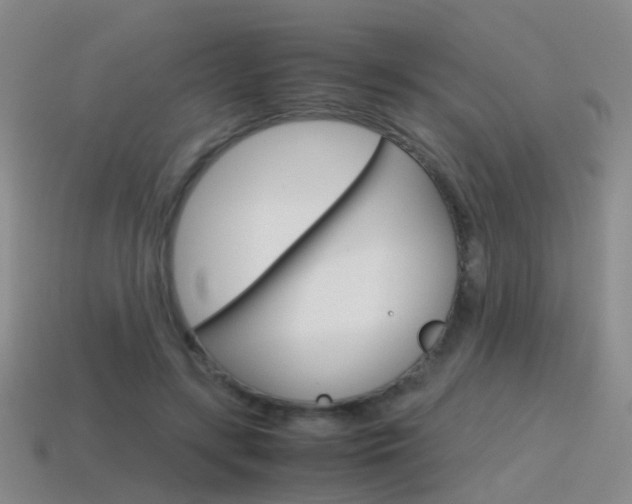X0000115600547200911100954