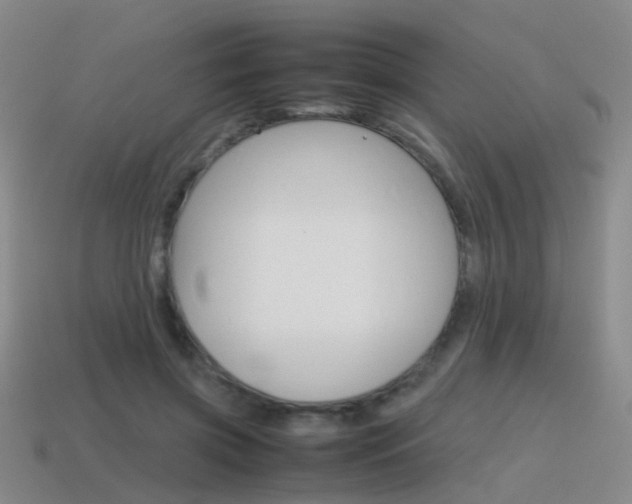 X0000115600549200911100954