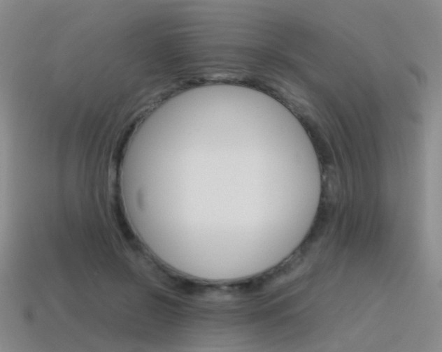 X0000115600550200911100954